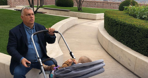 Backsliding in Budapest | Bird's Eye